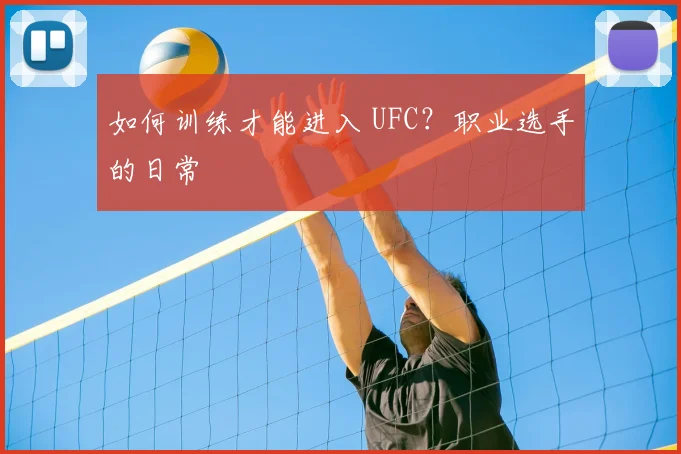 如何训练才能进入 UFC?职业选手的日常