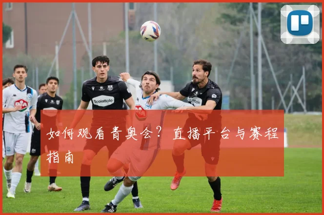 如何观看青奥会?直播平台与赛程指南